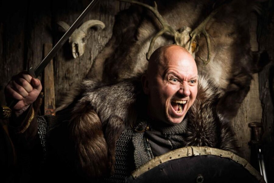 Reykjavik: Private Icelandic Viking Age Walking Tour - Why This Private Viking Walk Makes Sense in Reykjavik