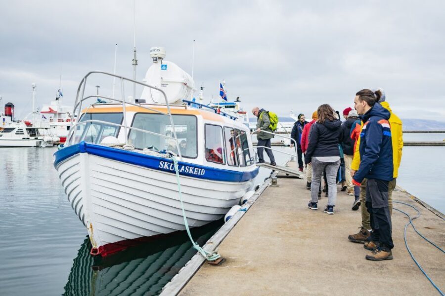Reykjavik: Puffin Watching Boat Tour - Price and Value: Why $64 for One Hour Can Still Feel Like a Win