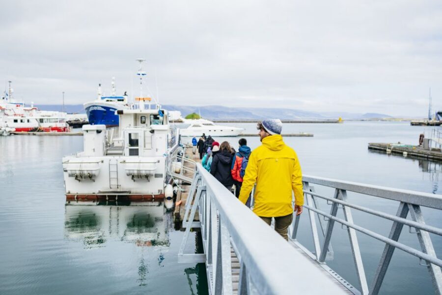 Reykjavik: Puffin Watching Boat Tour - Practical Tips to Get More Puffin Time From Your Hour