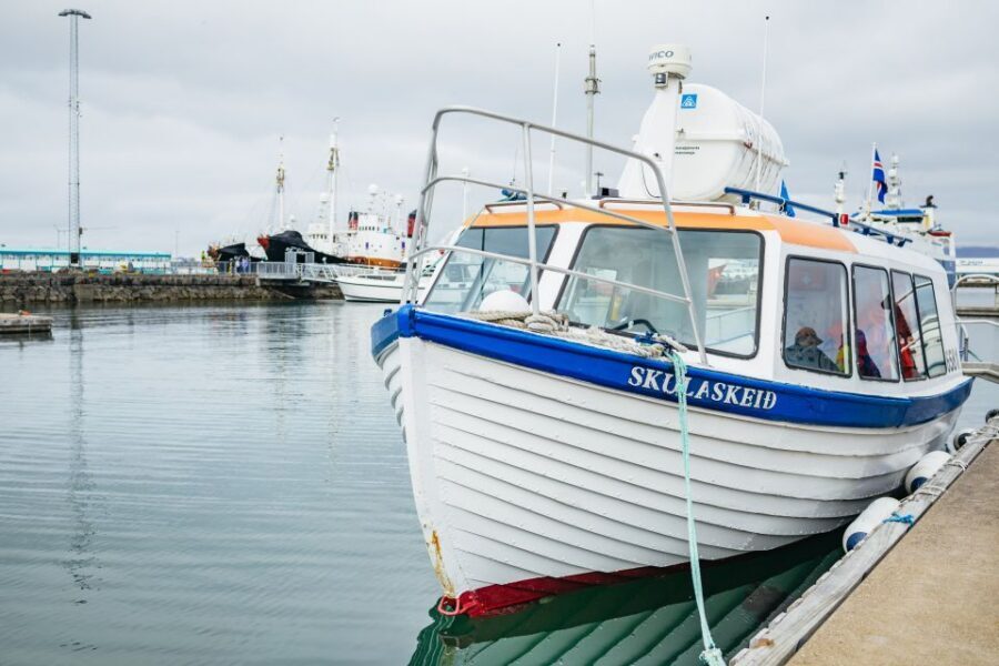Reykjavik: Puffin Watching Boat Tour - Should You Book This Reykjavik Puffin Watching Boat Tour?