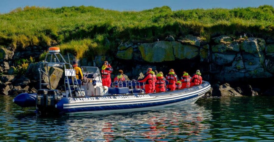 Reykjavik: Puffin Watching Tour - Entering Reykjavik Old Harbour for a RIB Puffin Start