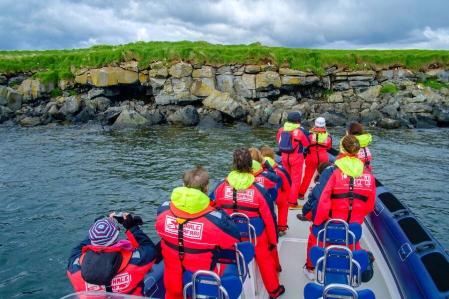Reykjavik: Puffin Watching Tour - Suit Up: Coveralls, Safety Gear, and What the Boat Ride Feels Like