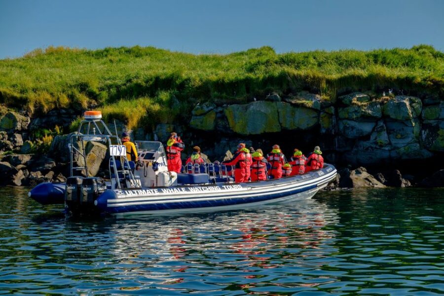 Reykjavik: Puffin Watching Tour - Puffins in Season: What You’re Actually Watching