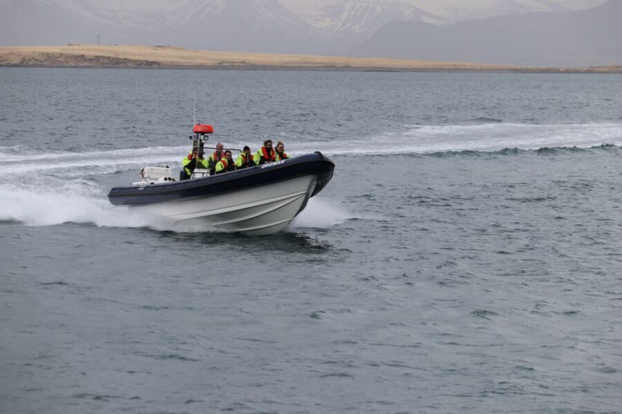 Reykjavik: Puffin Watching Tour by RIB Speedboat - Bird Noise, Bird Facts, and the Limits of Cameras
