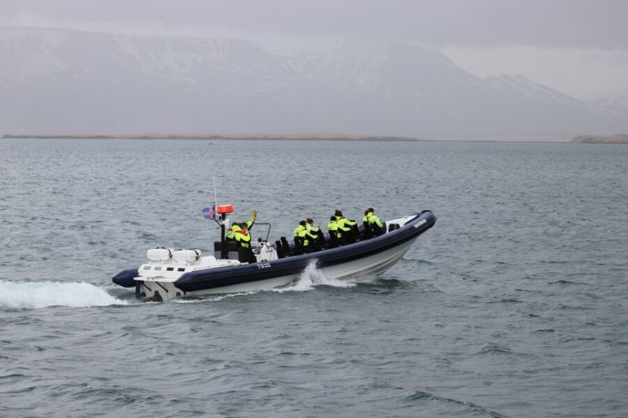 Reykjavik: Puffin Watching Tour by RIB Speedboat - Price and Value: Is $84 Reasonable for One Hour?