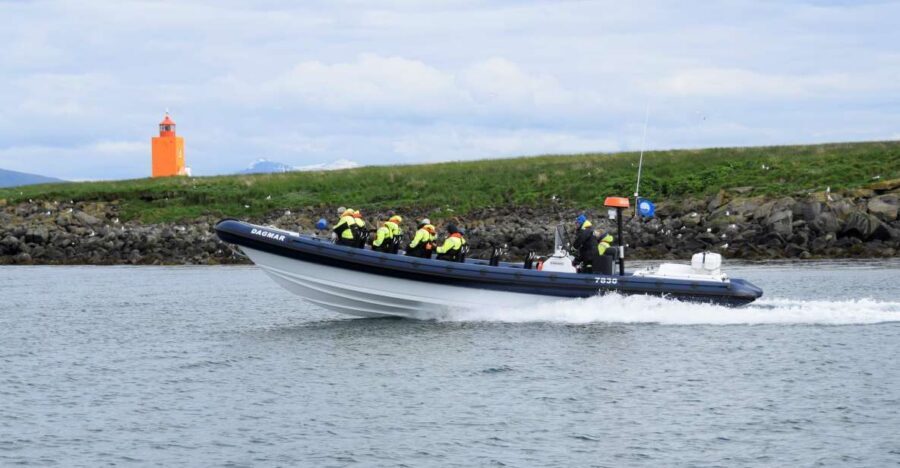 Reykjavik: Puffin Watching Tour by RIB Speedboat - The Ride Out: Why a RIB Makes Puffin Watching Better