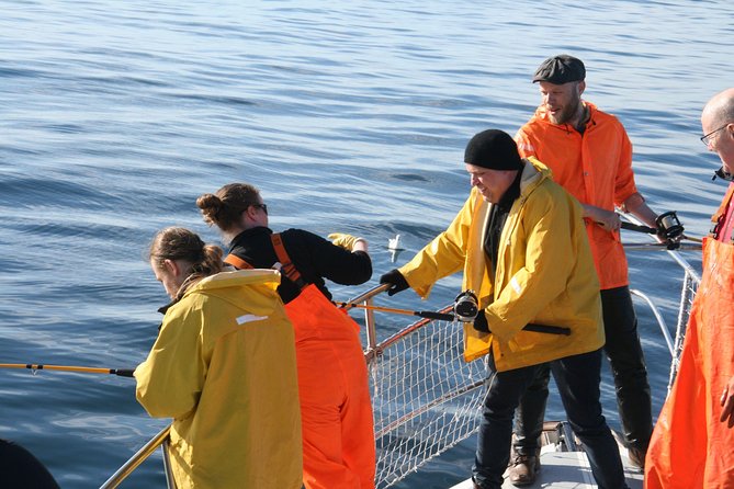 Reykjavik Sea Angling Gourmet - What You Might Catch (and Why You Should Still Expect a Learning Curve)