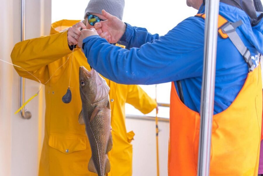 Reykjavik: Sea Fishing Boat Tour & BBQ with the Day's Catch - Key highlights to know before you go