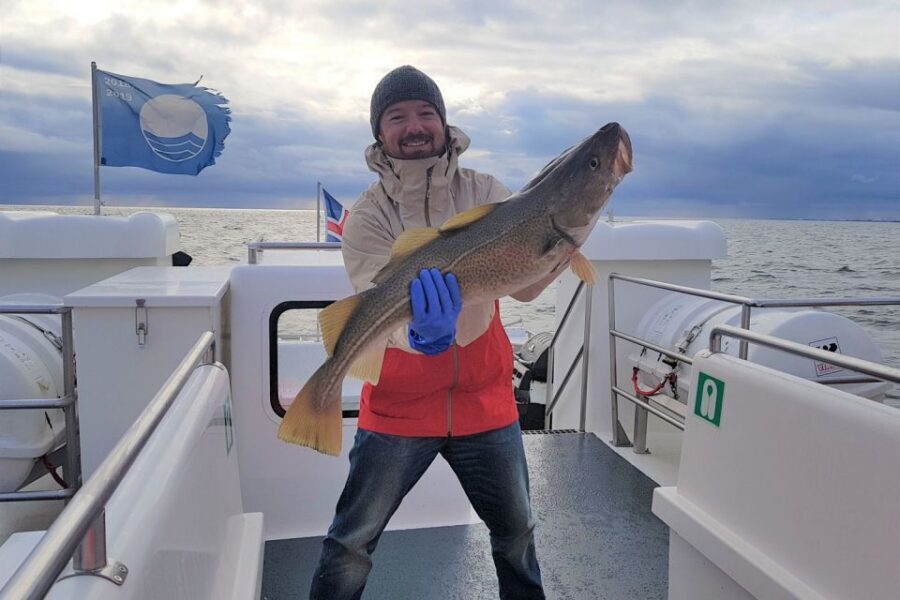 Reykjavik: Sea Fishing Boat Tour & BBQ with the Day's Catch - Who this Reykjavik sea fishing BBQ is best for