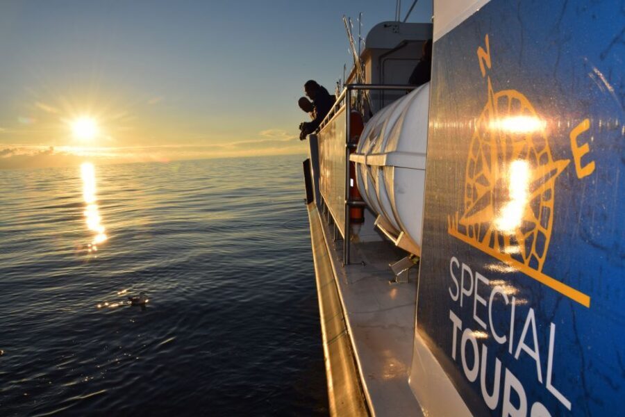 Reykjavik: Sea Fishing Boat Tour & BBQ with the Day's Catch - What you’re really fishing for: cod, halibut, haddock, rockfish, pollock