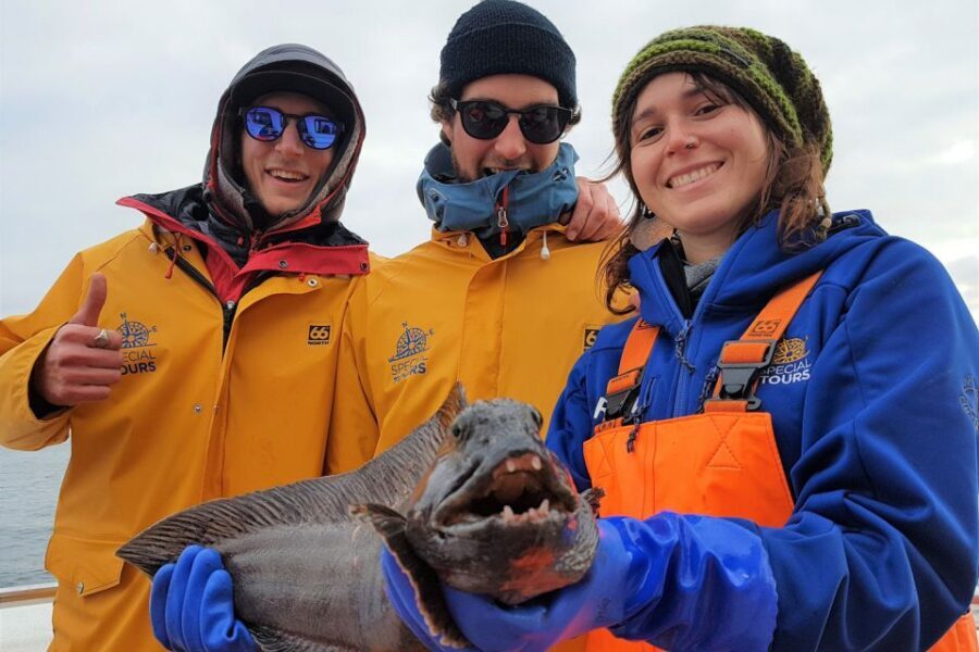 Reykjavik: Sea Fishing Boat Tour & BBQ with the Day's Catch - Wildlife on the route: puffins, plus a chance at whales and dolphins