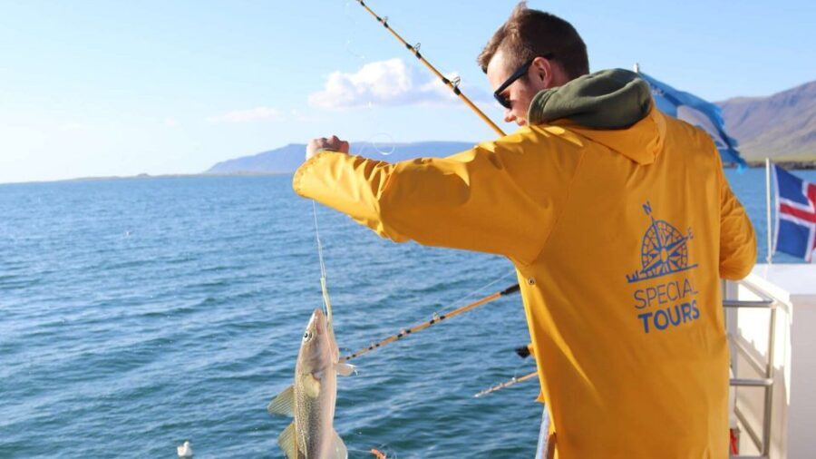 Reykjavik: Sea Fishing Boat Tour & BBQ with the Day's Catch - The crew is the secret ingredient: teaching + attention at the rail