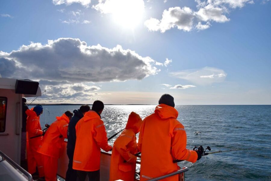 Reykjavik: Sea Fishing Boat Tour & BBQ with the Day's Catch - BBQ value: the taste test of catch-your-own-dinner