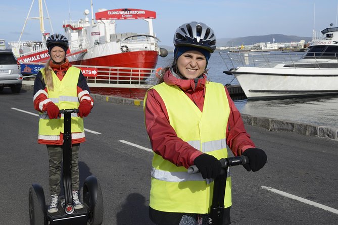 Reykjavik Segway Tour - The route experience: waterfront, parks, and photo-friendly moments