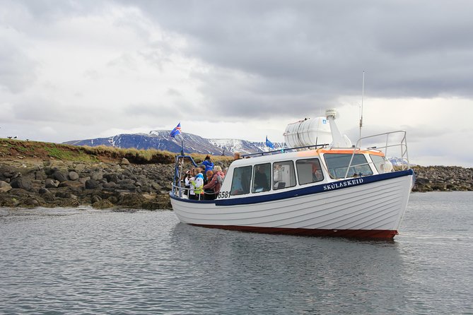 Reykjavik Shore Excursion: Puffin Sightseeing Cruise - The viewing loop at Akurey Island: close shoreline cruising and quiet photo time