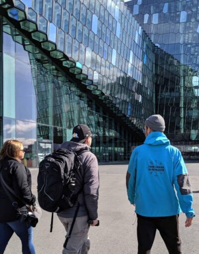 Reykjavik: Sightseeing Walking Tour with a Viking - Austurvöllur and Alþingi: The City’s Power Center in Walking Form