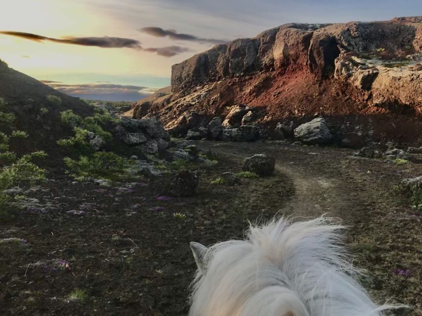 Reykjavik: Small-Group Horse Volcano Riding Tour with Pickup - A Reykjavik Horse Ride That Feels Like It Has Room to Breathe