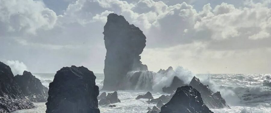 Reykjavik: Small-Group Snæfellsnes Day Trip - Ytri-Tunga farm and seal beach: the calm moment you’ll remember
