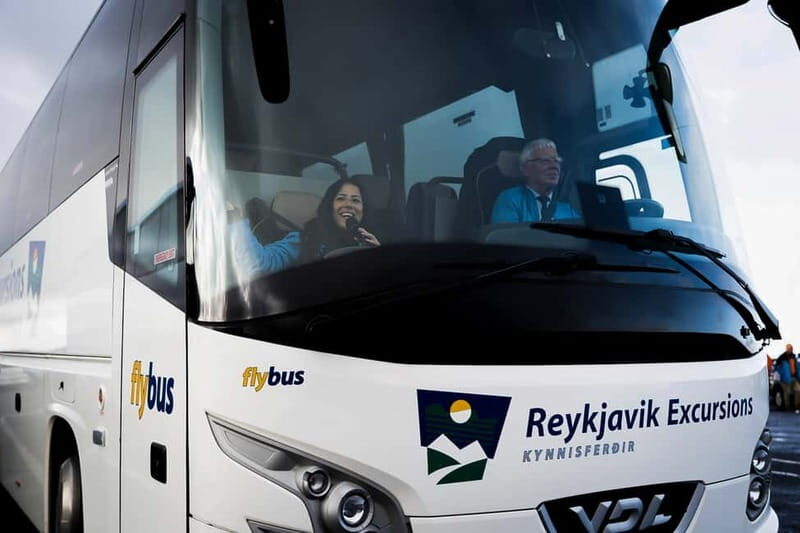 Reykjavik: The Golden Circle Day Tour - Who this Golden Circle bus tour is best for