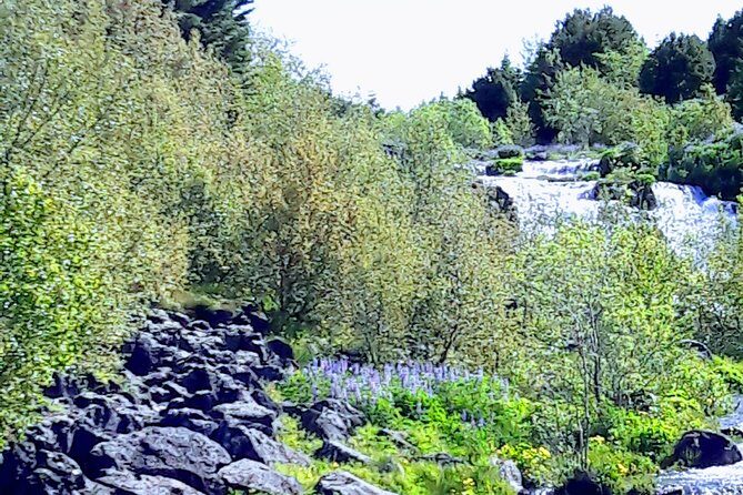 Reykjavik the Northernmost capital in the world - Stop 3: Reykjavik’s founding—Norse beginnings to capital status