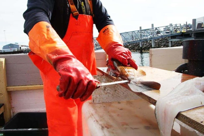 Reykjavik: Traditional Sea Fishing with BBQ Feast - The Old Harbor Meeting Point: How to Find Your Boat Fast