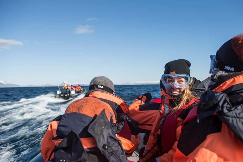 Reykjavik: Whale and Puffin Watching RIB Boat Tour - Puffins on nearby islands: what to expect in late April to August