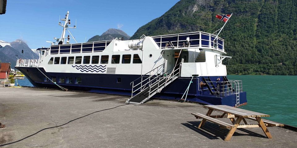 Reykjavik: Whale & Marine Adventure Tour - The boat setup: heated cabin comfort with real viewing options