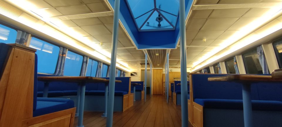 Reykjavik: Whale & Marine Adventure Tour - Price and value: is $104 a good deal for whale watching in Reykjavík?