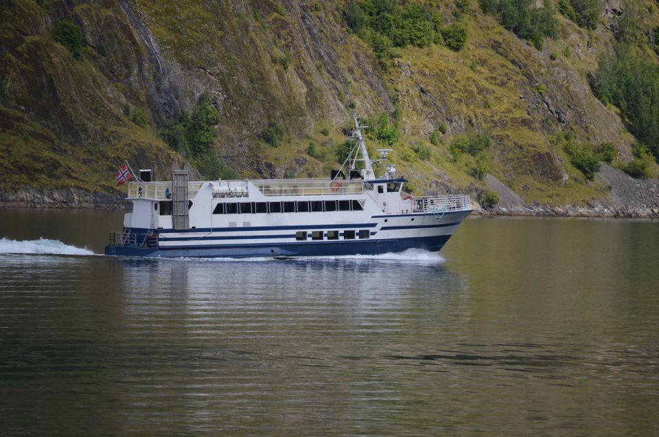Reykjavik: Whale & Marine Adventure Tour - What to wear: your checklist for comfort on the water