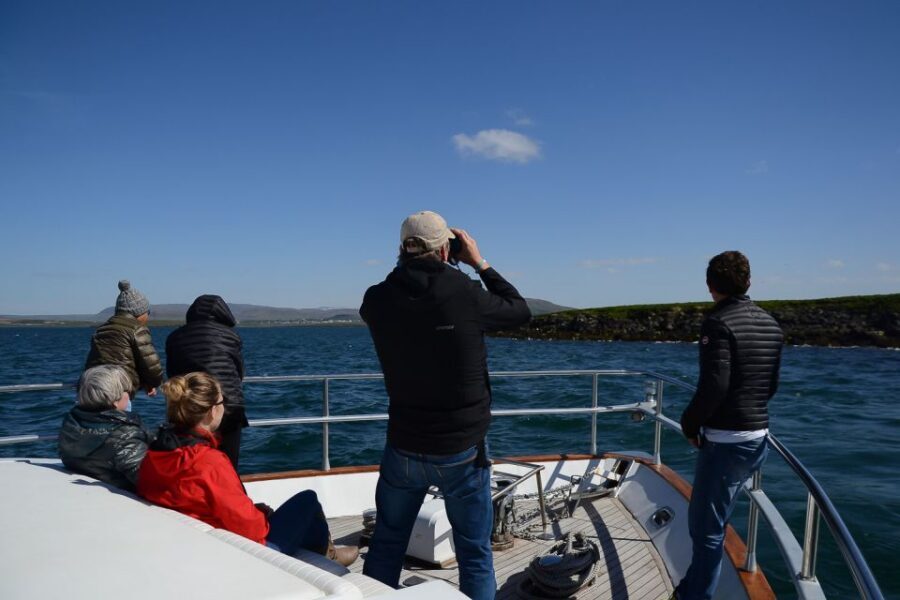 Reykjavik: Whale Watching and Dolphin Watching Yacht Cruise - Packing and timing: how to set yourself up for the best odds
