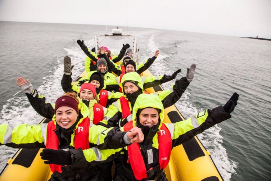 Reykjavik: Whale Watching by RIB Speedboat - Key things to know before you go