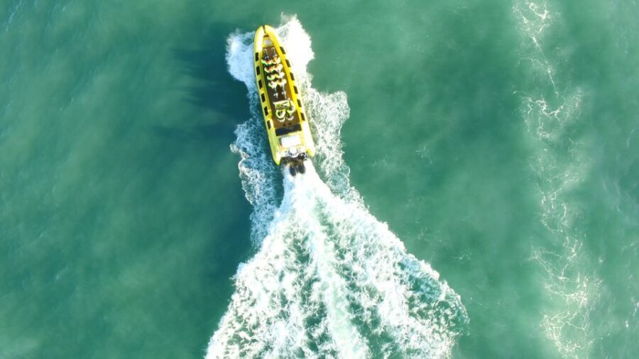 Reykjavik: Whale Watching by RIB Speedboat - Best time to go: seasons that stack the odds