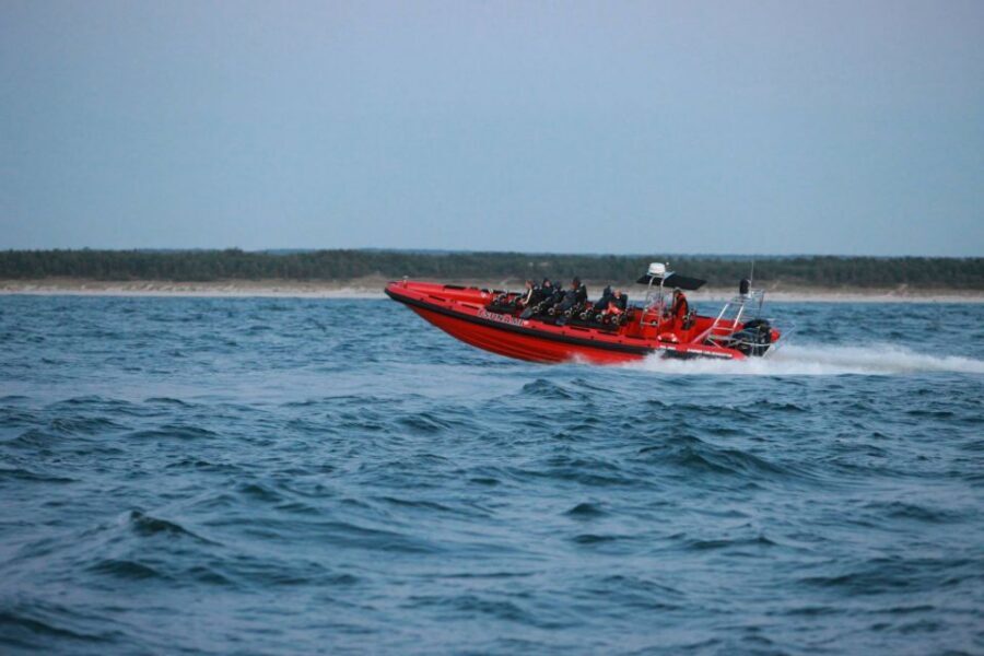 Reykjavik: Whale Watching by RIB Speedboat - Time on the water: how the 2 hours tend to feel