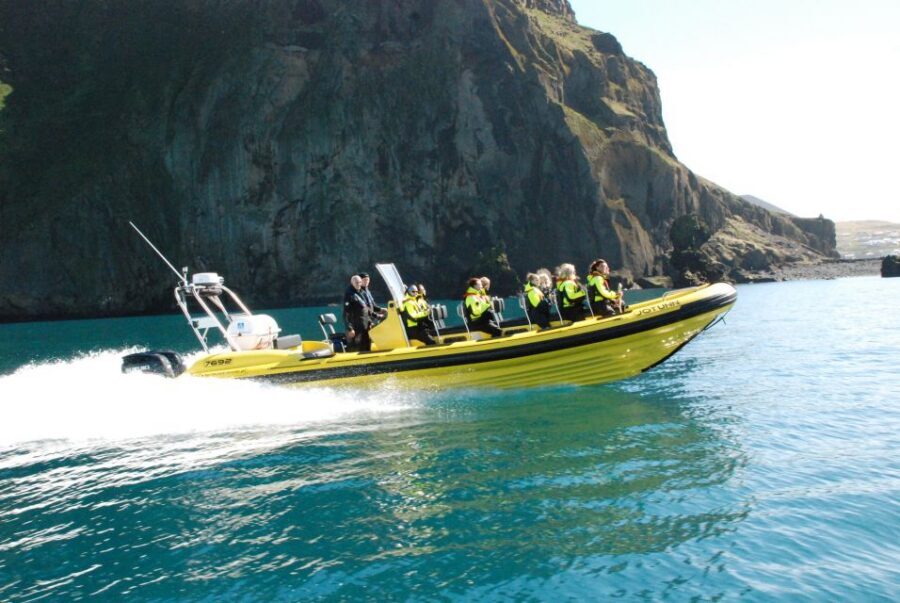 Reykjavik: Whale Watching by RIB Speedboat - Price and value: is $200 a smart spend?