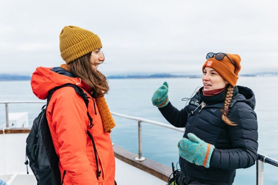 Reykjavík: Whale Watching Cruise on the Amelia Rose Yacht - Why the Amelia Rose feels different from typical whale boats