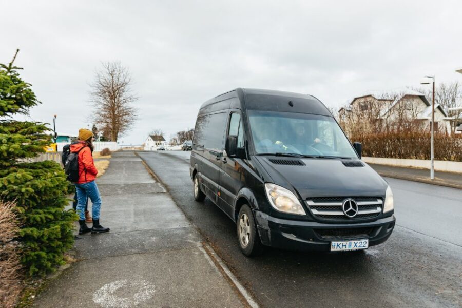 Reykjavík: Whale Watching Cruise on the Amelia Rose Yacht - What whales and dolphins you can realistically expect
