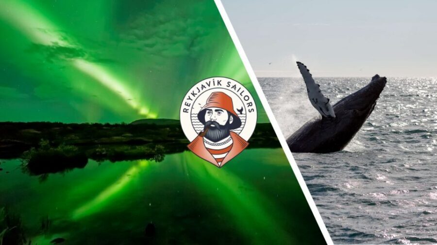 Reykjavik: Whale Watching & Northern Lights Combo Cruise - Key Things I’d Book This For