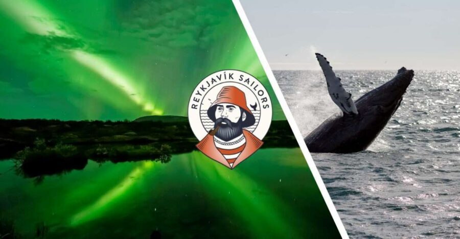 Reykjavik: Whale Watching & Northern Lights Combo Cruise - Faxaflói Bay by Day: Whale Watching That’s About Seeing, Not Performing