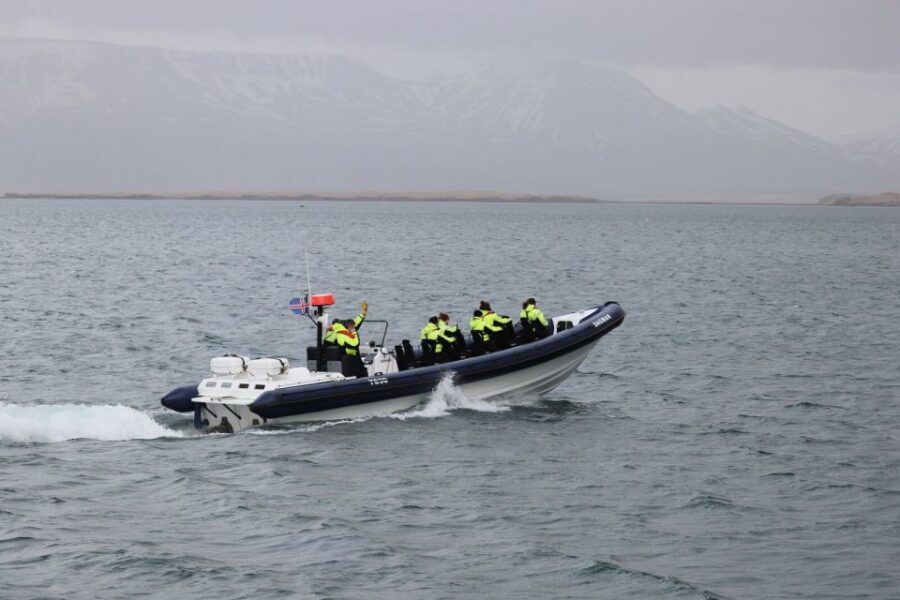 Reykjavik: Whale Watching Tour by RIB Boat - Watching puffins at Akurey in summer: a second wildlife payoff