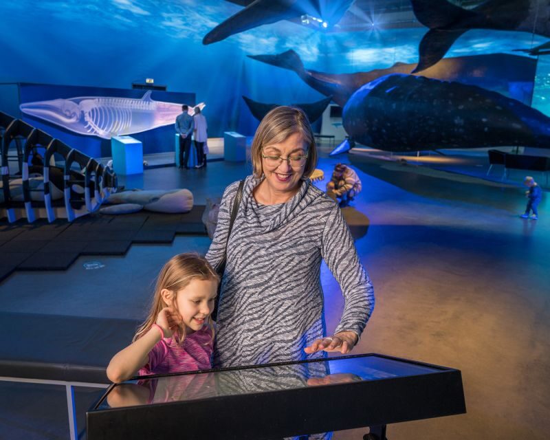 Reykjavik: Whales of Iceland Museum Entrance Ticket - Planning Your Time: How Long You’ll Actually Need