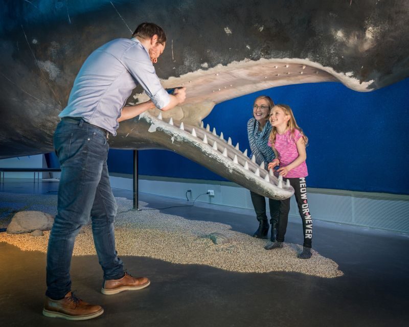 Reykjavik: Whales of Iceland Museum Entrance Ticket - Price and Value: Is $34 Worth It?