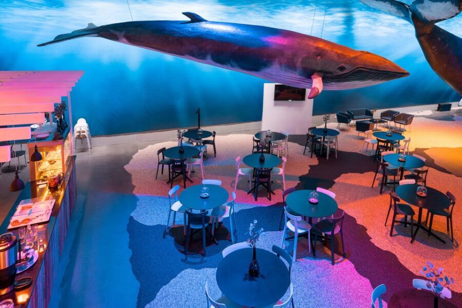Reykjavik: Whales of Iceland Museum Entrance Ticket - Location, Meeting Point, and On-Site Comfort