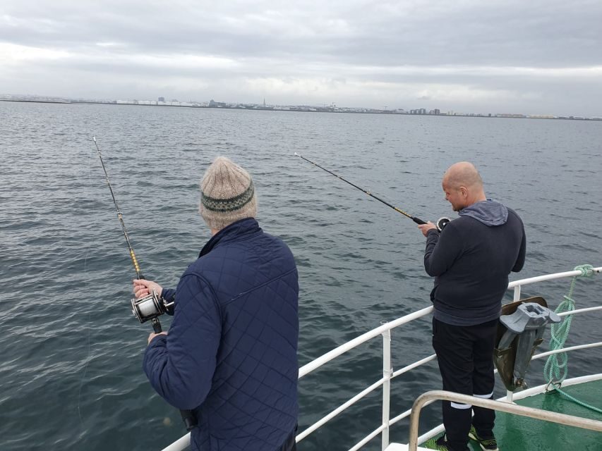 Reykjavik's Finest Catch: Guided Sea Angling Tour - Old Reykjavík Harbour to Faxaflói: a simple 3-hour plan