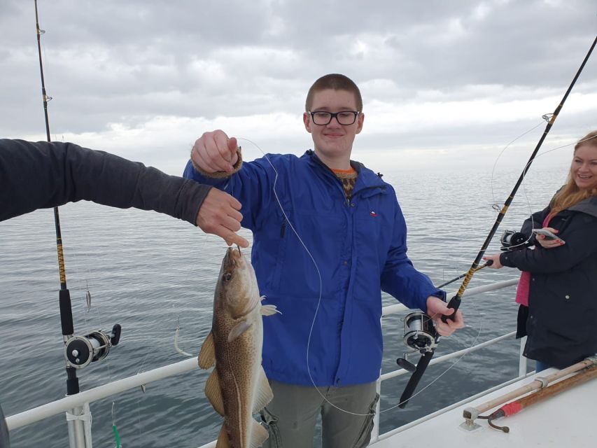 Reykjavik's Finest Catch: Guided Sea Angling Tour - Value check: is $188 for 3 hours worth it?