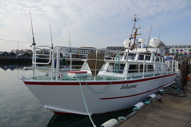 Reykjavik's Finest Catch: Guided Sea Angling Tour for All Levels - Casting at Multiple Fishing Spots in Reykjavík Waters