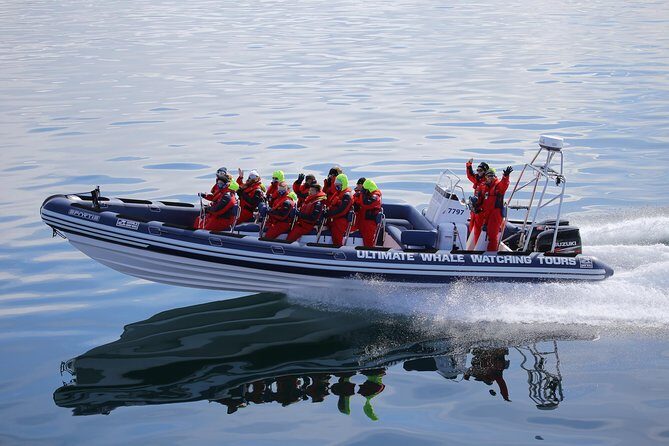 RIB Whale Watching Small-Group Boat Tour from Reykjavik - Comfort and safety on a fast boat: coveralls, gloves, and seats