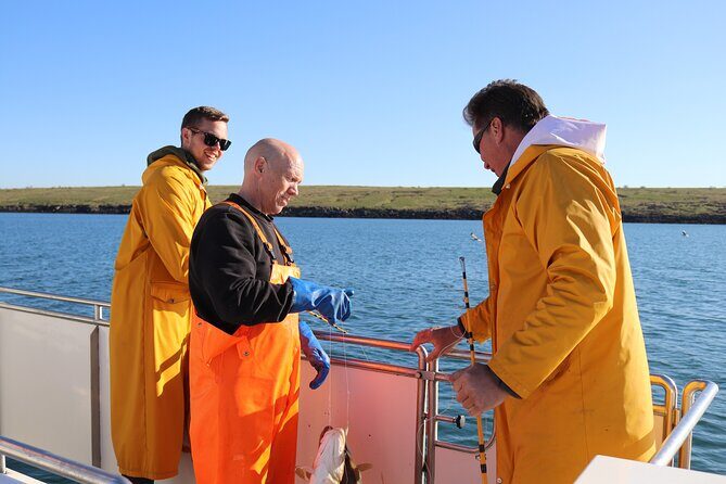 Sea Fishing Experience from Reykjavik - Key Things I’d Prioritize Before You Go