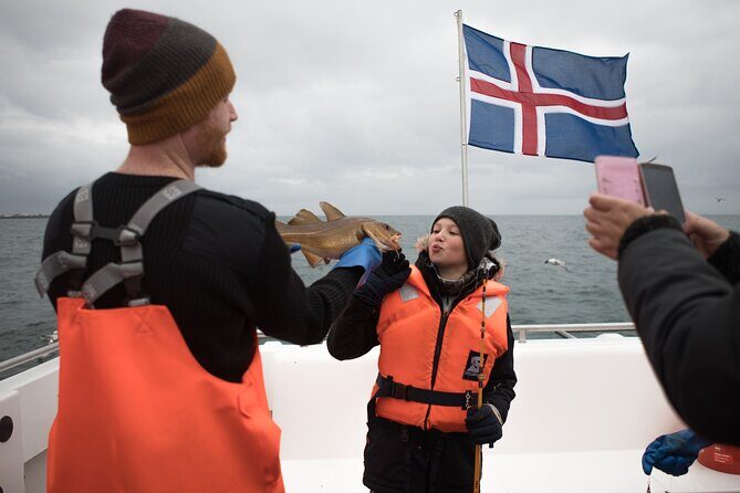 Sea Fishing Experience from Reykjavik - Akurey and Lundey in Summer: Puffins, Seabirds, and a Wildlife Bonus