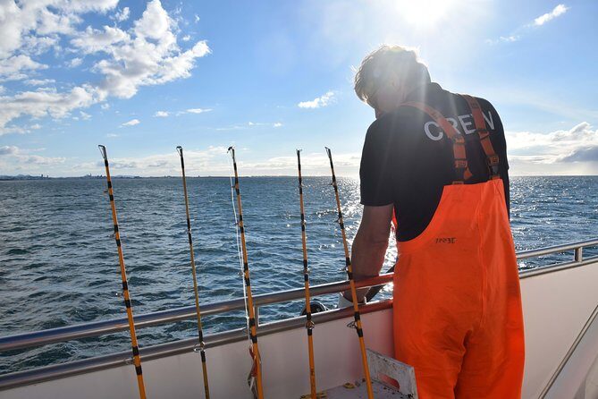 Sea Fishing Experience from Reykjavik - The Boat, the Group, and the Feel of the Evening