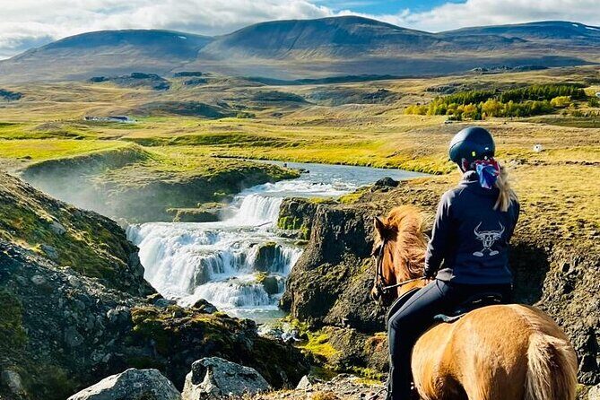 Short Riding Tour with Eye-Catching Photos at Waterfall - What actually happens before you move: getting comfortable with Icelandic horses